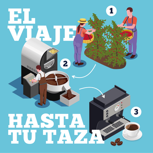 ¿Es posible el comercio directo entre el caficultor y el tostador? - Quinto Café
