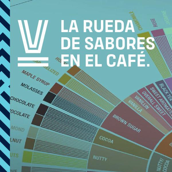 Rueda de Sabores del Café Specialty Coffee Association