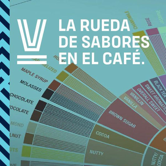 Rueda de Sabores del Café Specialty Coffee Association