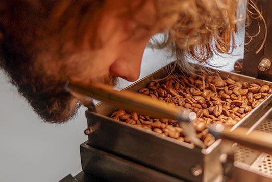 ¿QUÉ ES EL CAFÉ DE ESPECIALIDAD? - Quinto Café