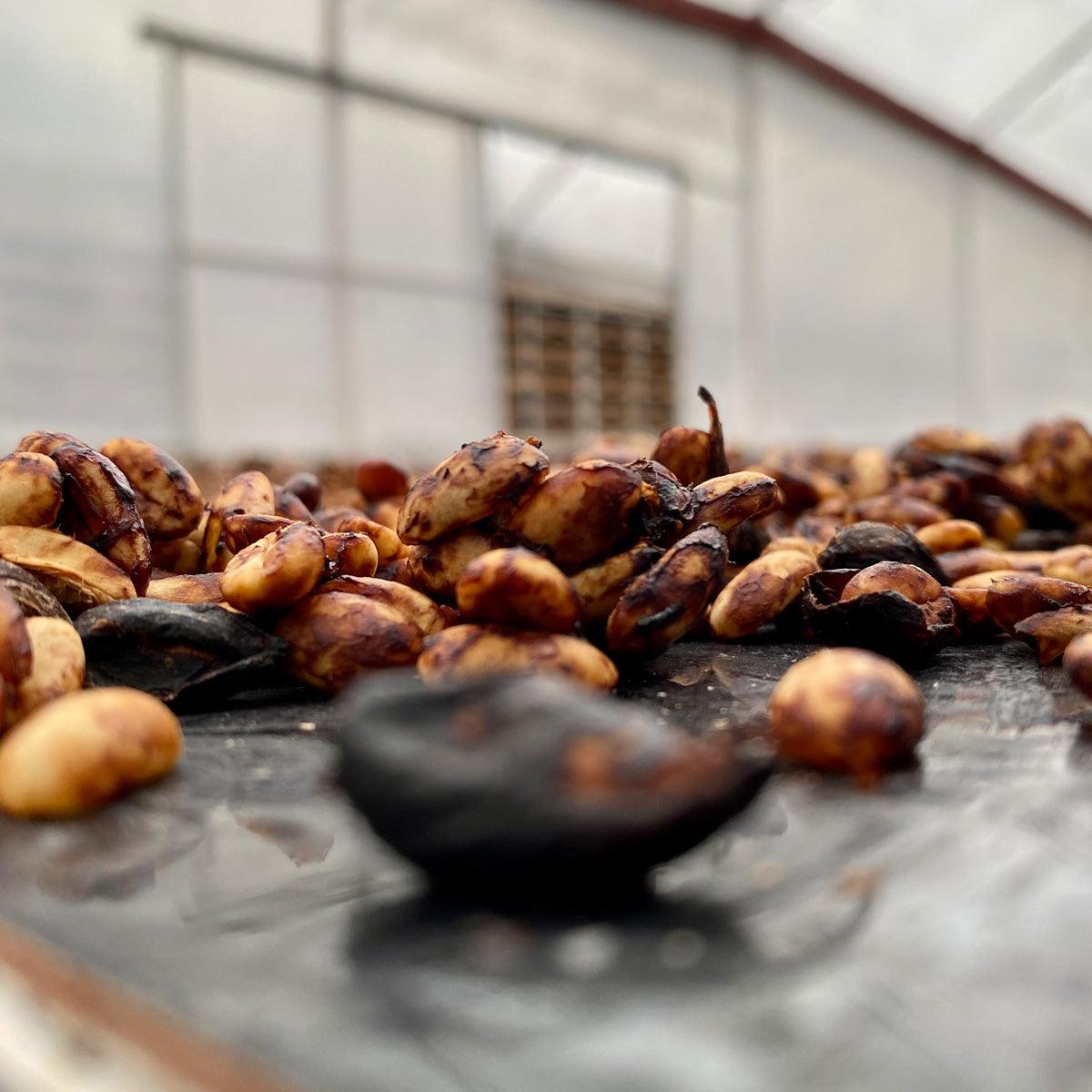 COSTA RICA | MIEL - Quinto Café