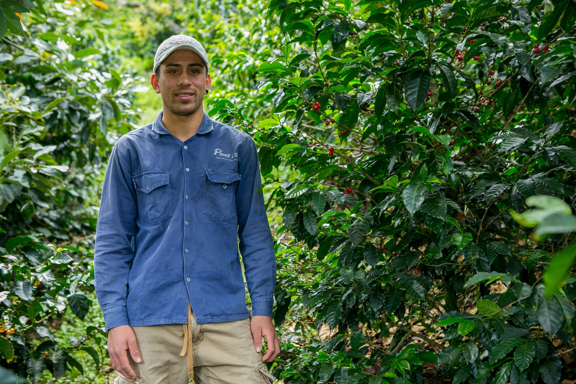 Néctar | Urrao, Colombia | Notas Florales y Cítricas - Quinto Café