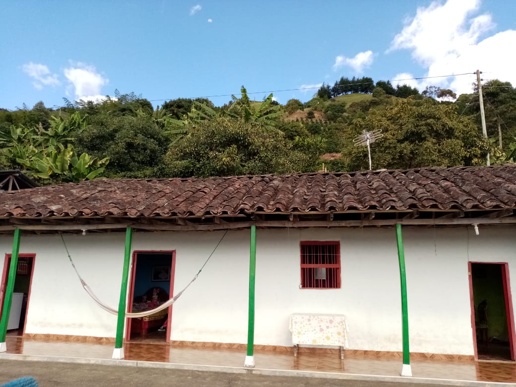 Vista de la finca La Pradera en Sonsón, Antioquia, donde Ubeimar Flórez y su familia cultivan café de especialidad. Un lugar lleno de tradición y pasión por el café colombiano.