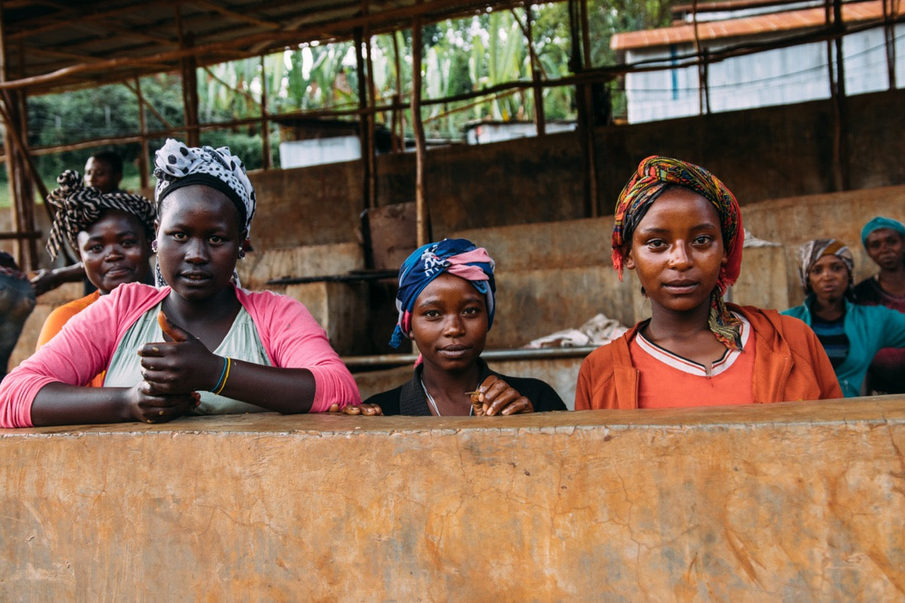 Mujeres trabajando en la selección de café en la estación de lavado Mulish, Etiopía.