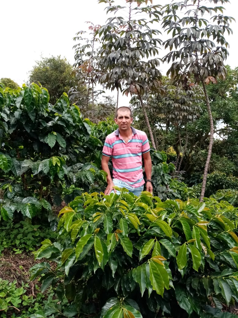 Ubeimar Flórez, caficultor de La Pradera, en medio de los cafetales en Sonsón, Antioquia. Su dedicación asegura la calidad excepcional del café que llega a tu taza.