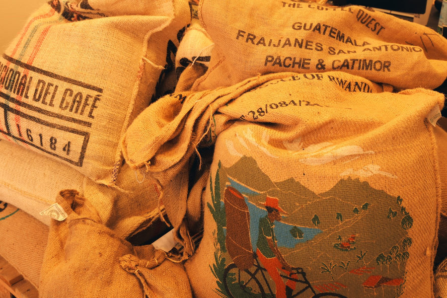 Sacos de café verde de origen en Quinto Café