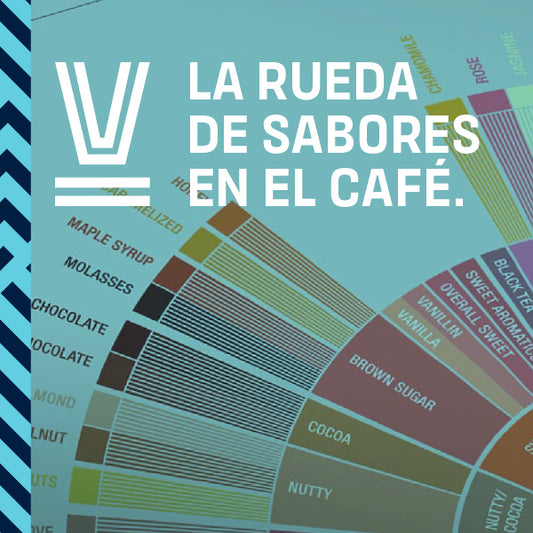 ¿CONOCES LA RUEDA DE SABORES EN EL CAFÉ? - Quinto Café
