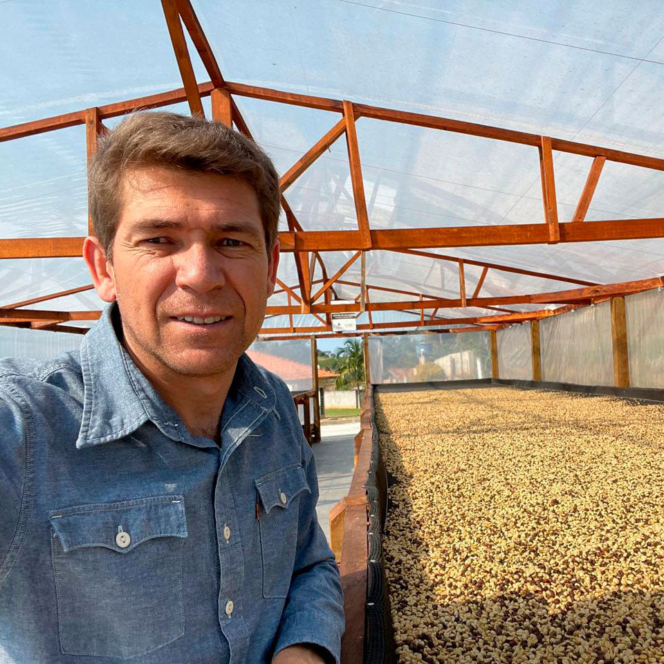 Paraná 22º – Brasil - Quinto Café