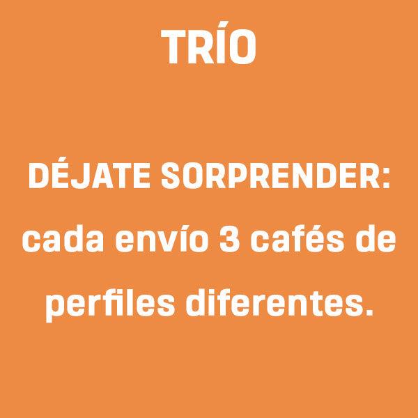 Suscripción TRÍO - Quinto Café