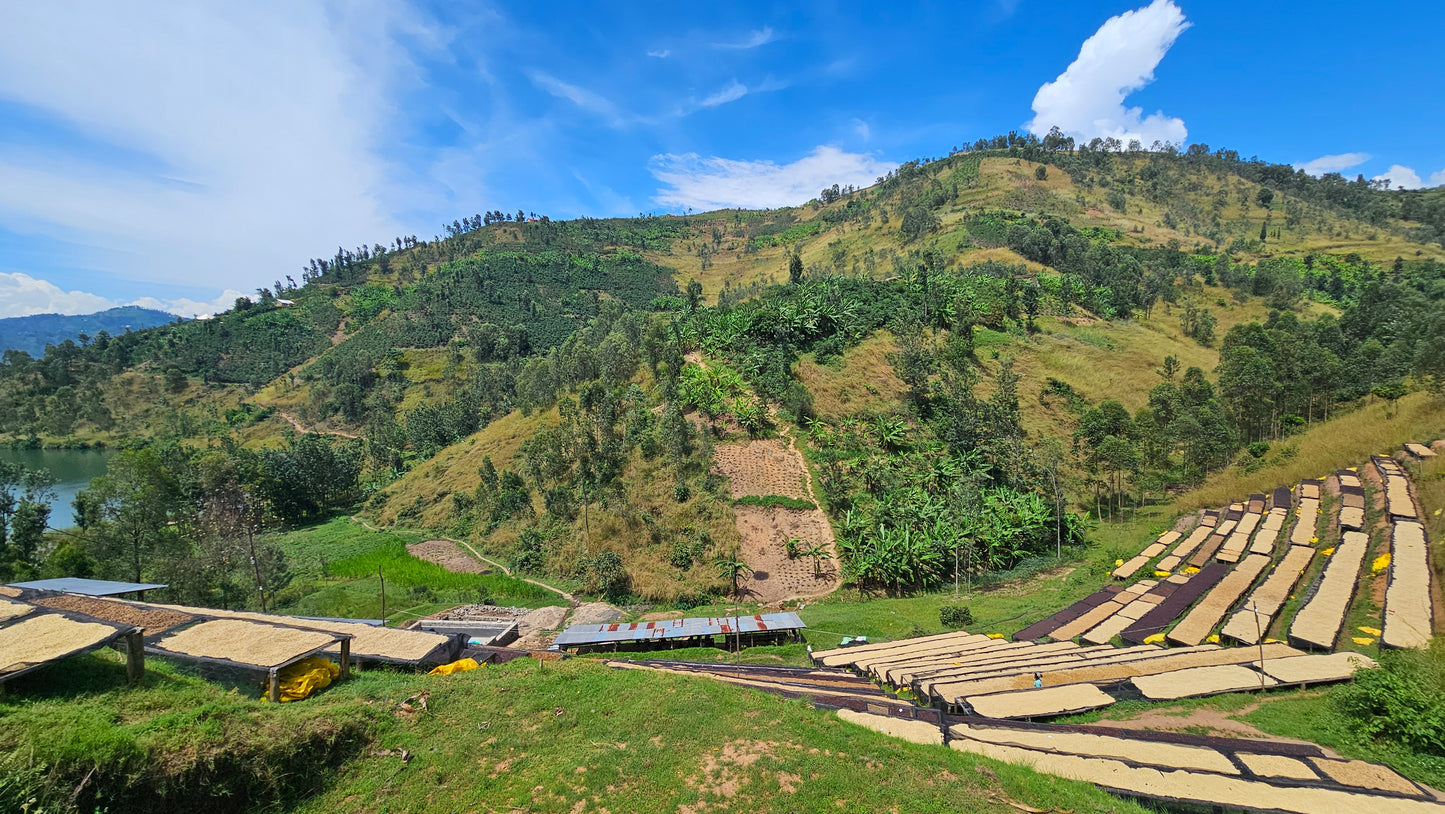 Ruanda Kivu | Turrón