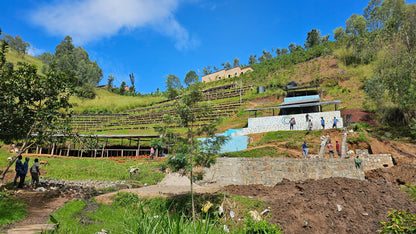 Ruanda Kivu | Turrón