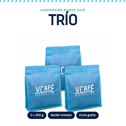 Suscripción TRÍO de Quinto Café: bolsas de café de especialidad